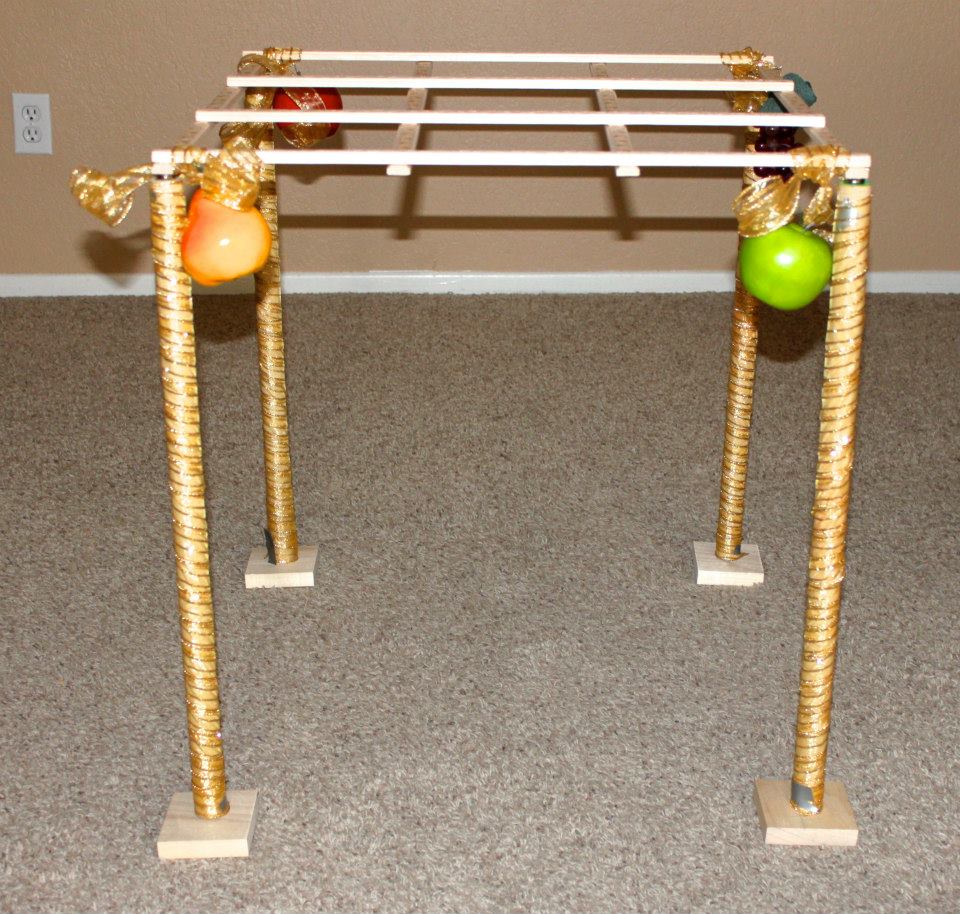 10641157_10152720817662059_3617094739710470055_n